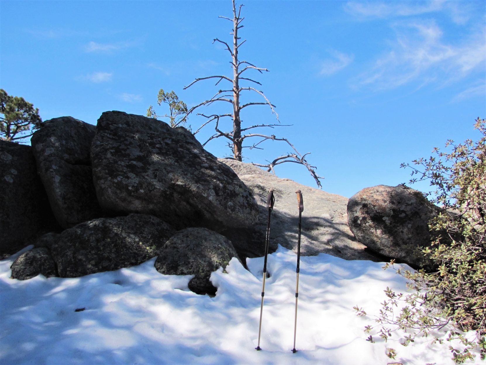 Snowfields